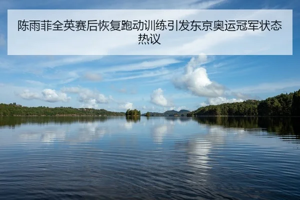 陈雨菲全英赛后恢复跑动训练引发东京奥运冠军状态热议